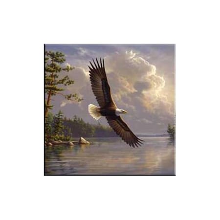 Fastfood 6"W x 6"D Tuftop Eagle Trivet FA902388